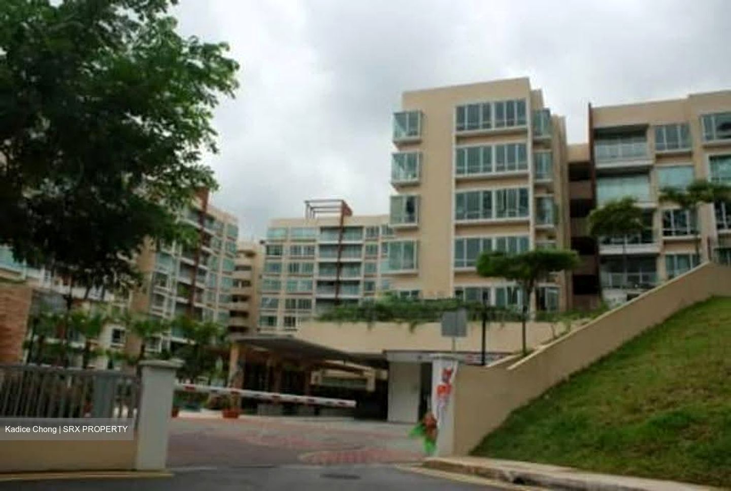 The Raintree (D21), Condominium #608104261